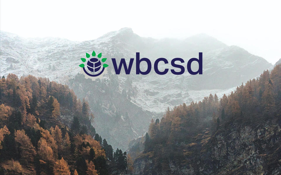 World Business Council for Sustainable Development - WBCSD Image